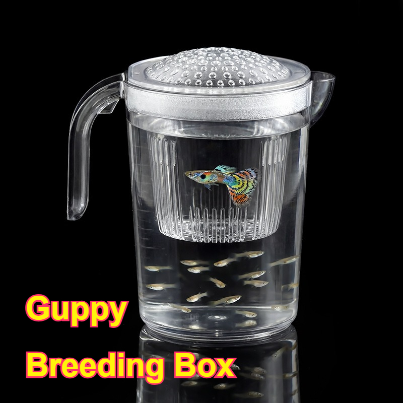 Aquarium Fish Delivery - Balık Yavrusu Küçük Guppy Yetiştirme Kabı