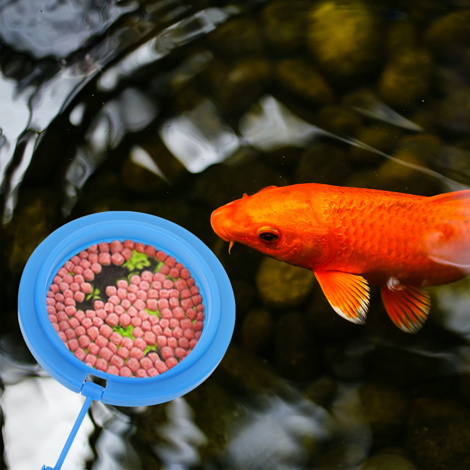 Fish Food Flake - 2 Adet Premium Plastik Yemleme Halkası,