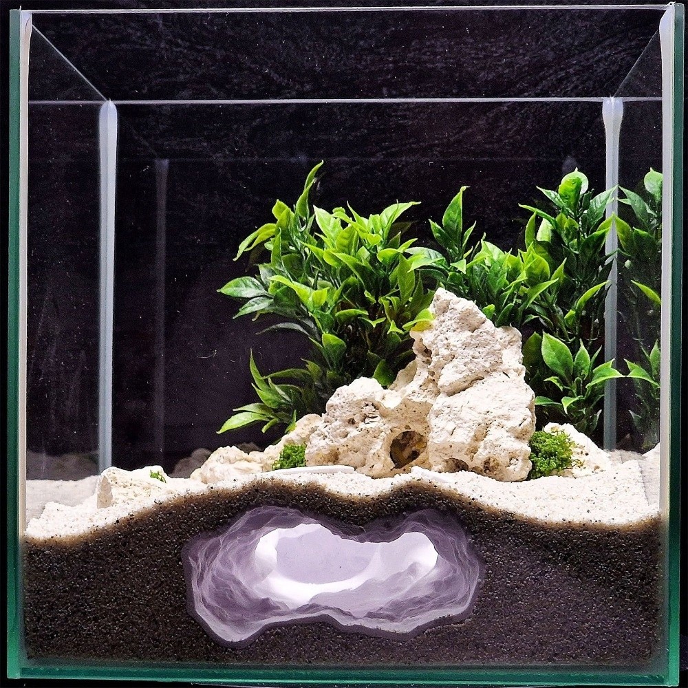 Aquarium Fish Reproduction - Yüksek Derecede Simüle Edilmiş Akvaryum Balık