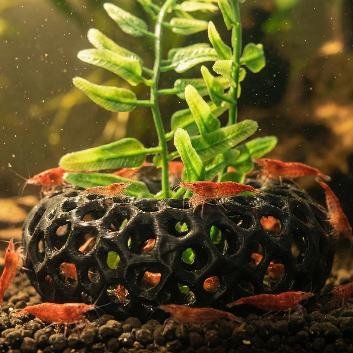 Aquarium Fish Reproduction - Çok satan 3D baskılı akvaryum balık