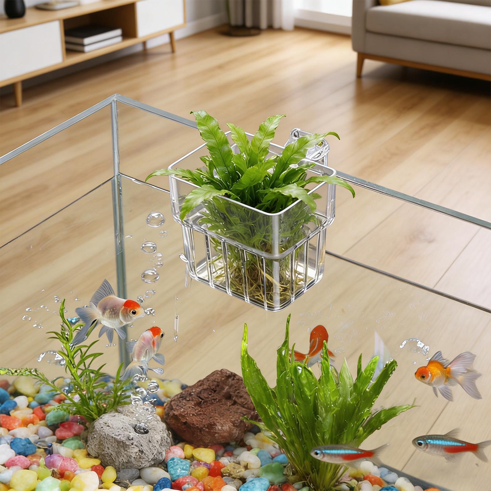 Aquarium Fish Names - Şeffaf Asılabilir Akvaryum Bitki Tutucu Saksı