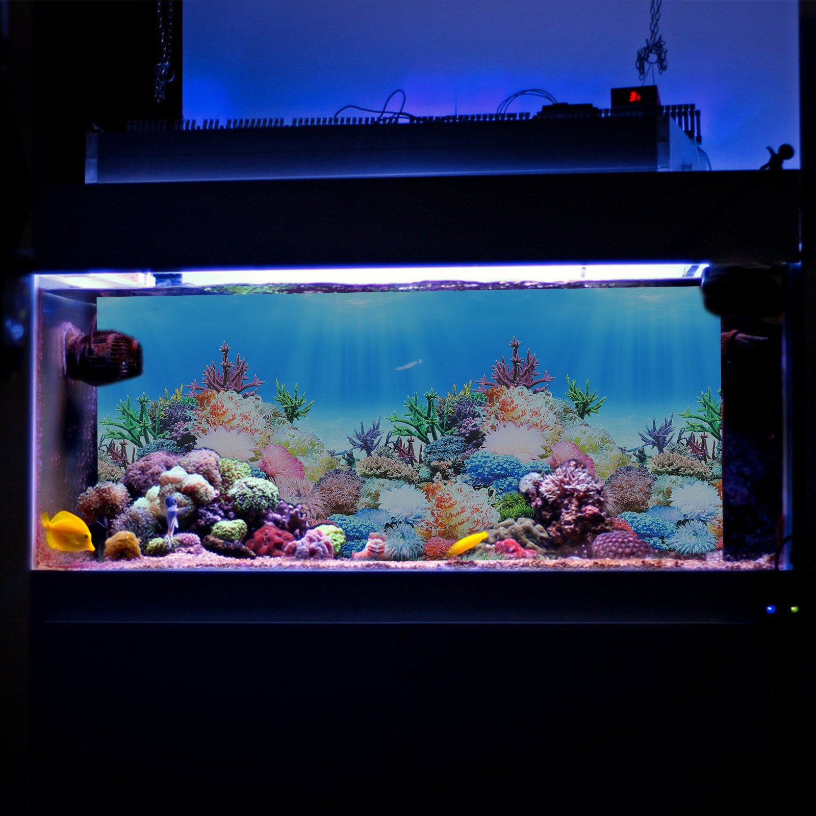 Fish In Aquarium Picture - Balık Tankı Akvaryum Dekor Arka Plan