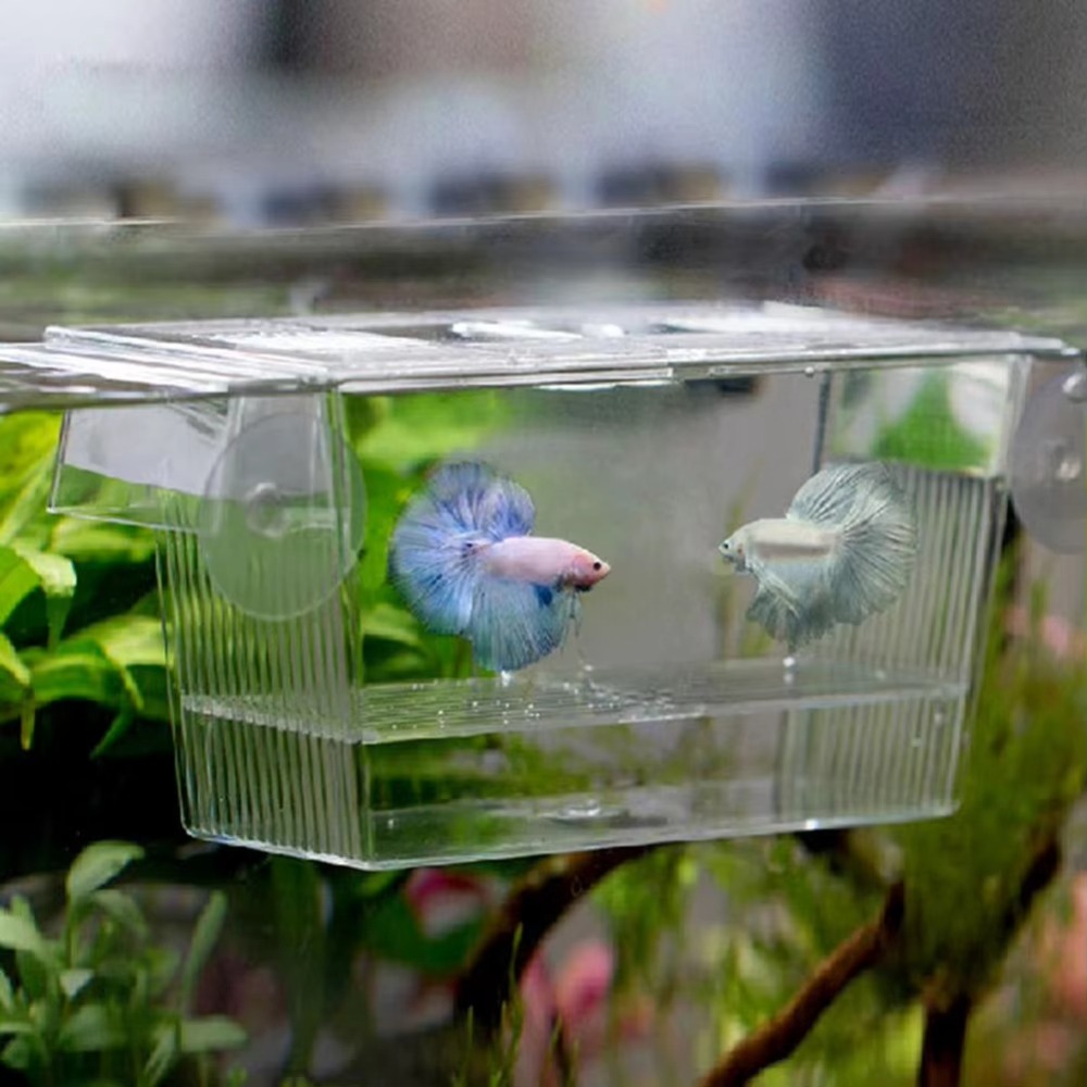 Aquarium Fish Reproduction - Yaratıcı Akrilik Balık Tankı Yetiştirme İnkübatörü