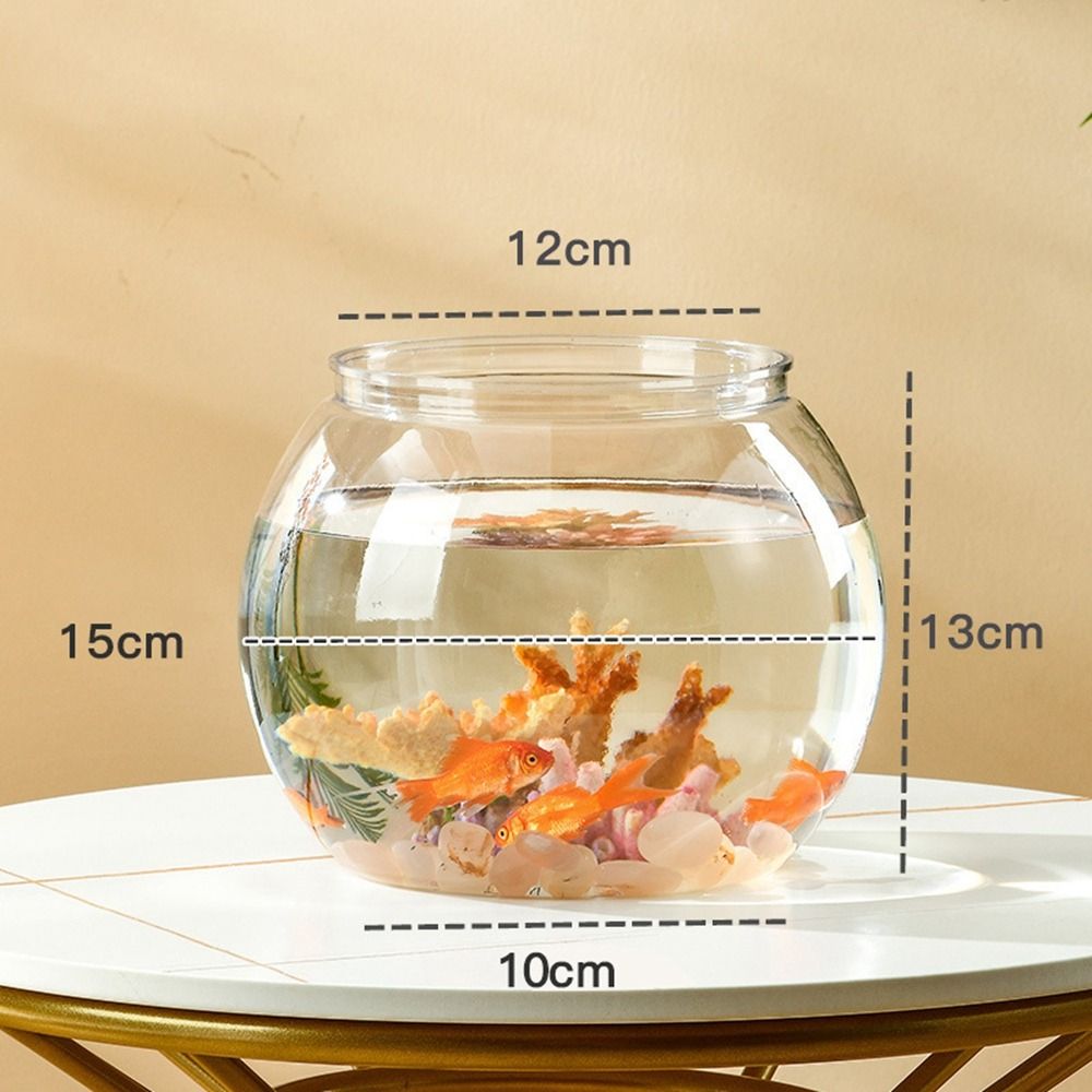 Ev Dekoru Şeffaf Yuvarlak Balı - Aquarium Fish Names incelemesi ve fiyatı