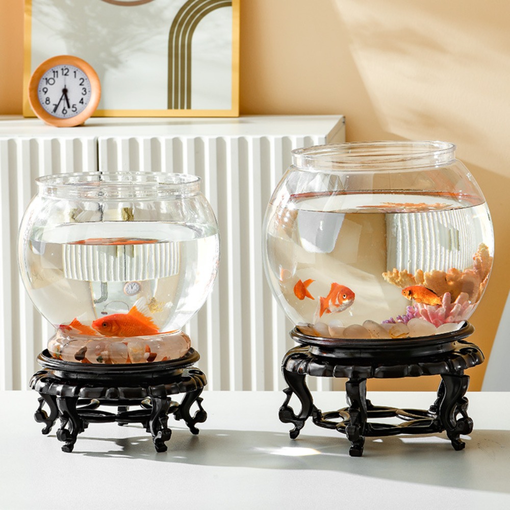 Ev Dekoru Şeffaf Yuvarlak Balı - Aquarium Fish Names incelemesi ve fiyatı