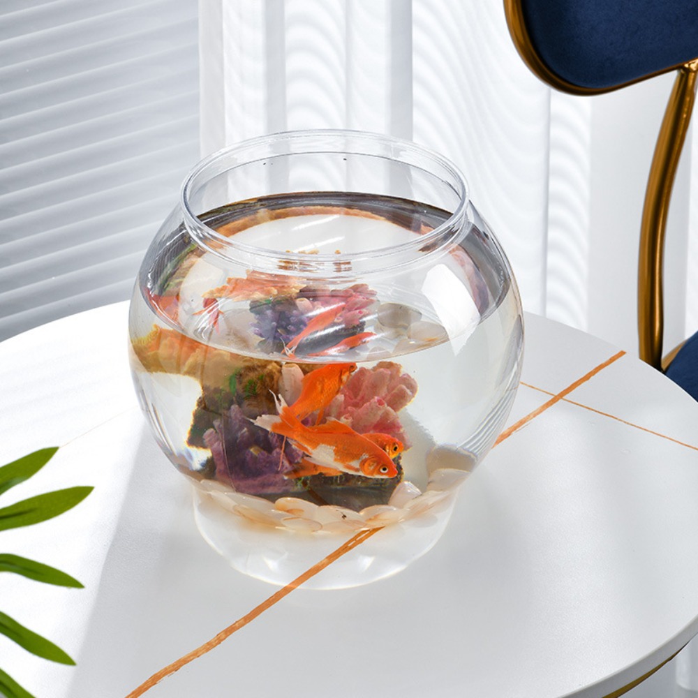 Ev Dekoru Şeffaf Yuvarlak Balı - Aquarium Fish Names incelemesi ve fiyatı