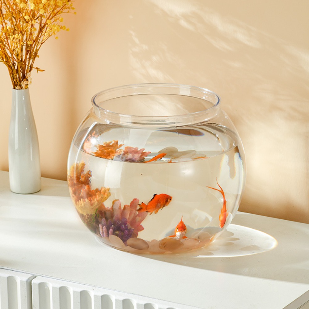 Ev Dekoru Şeffaf Yuvarlak Balı - Aquarium Fish Names incelemesi ve fiyatı