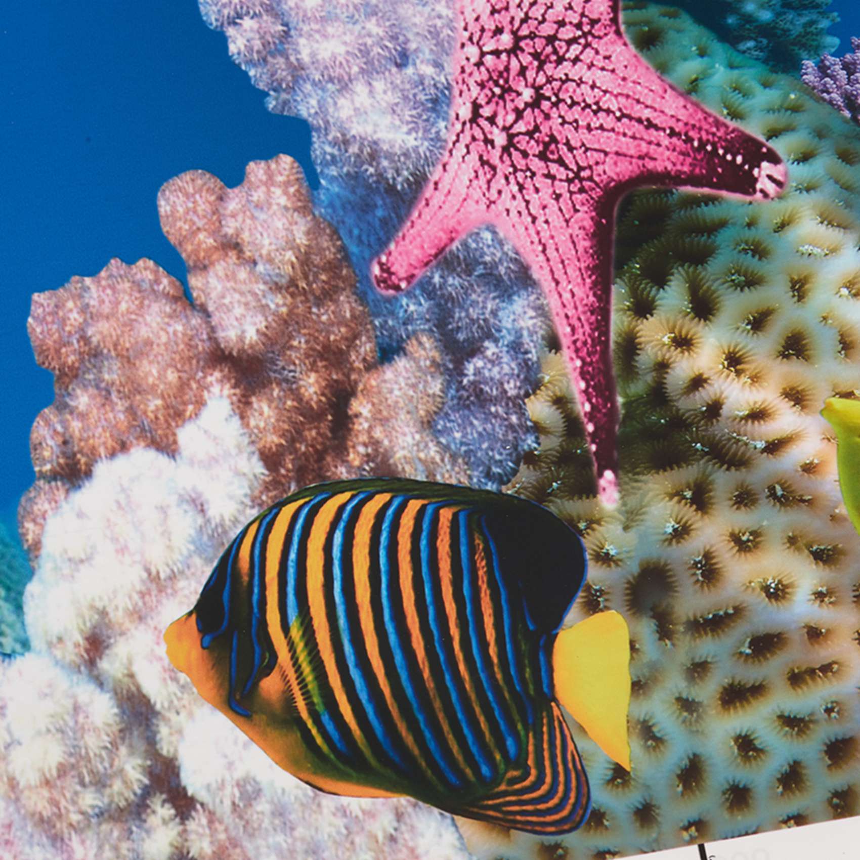ABWR-Akvaryum Arka Plan Kağıdı - Fish In Aquarium Picture incelemesi ve fiyatı