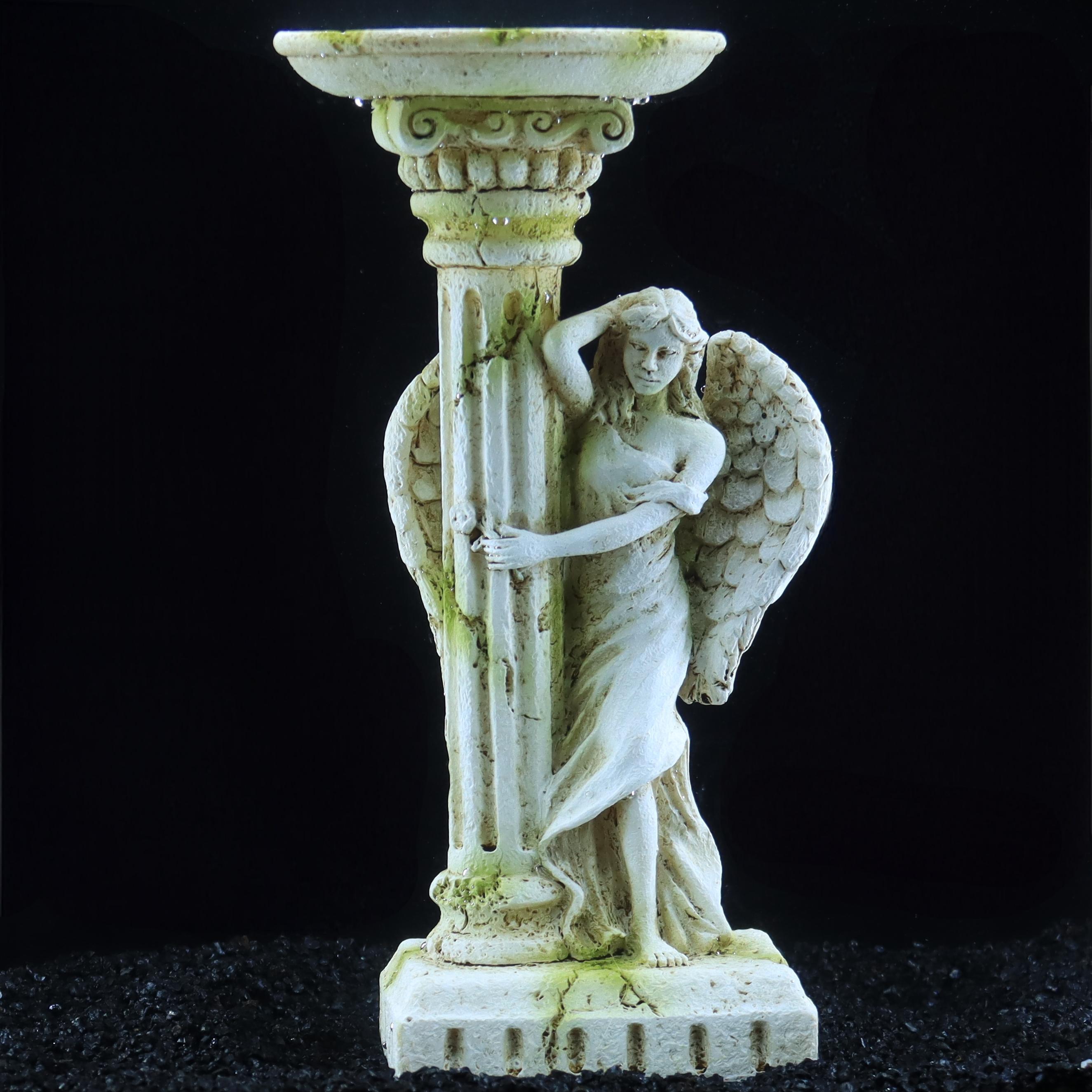 Romen meleği, vintage romantik - Aquarium Fish Angel incelemesi ve fiyatı
