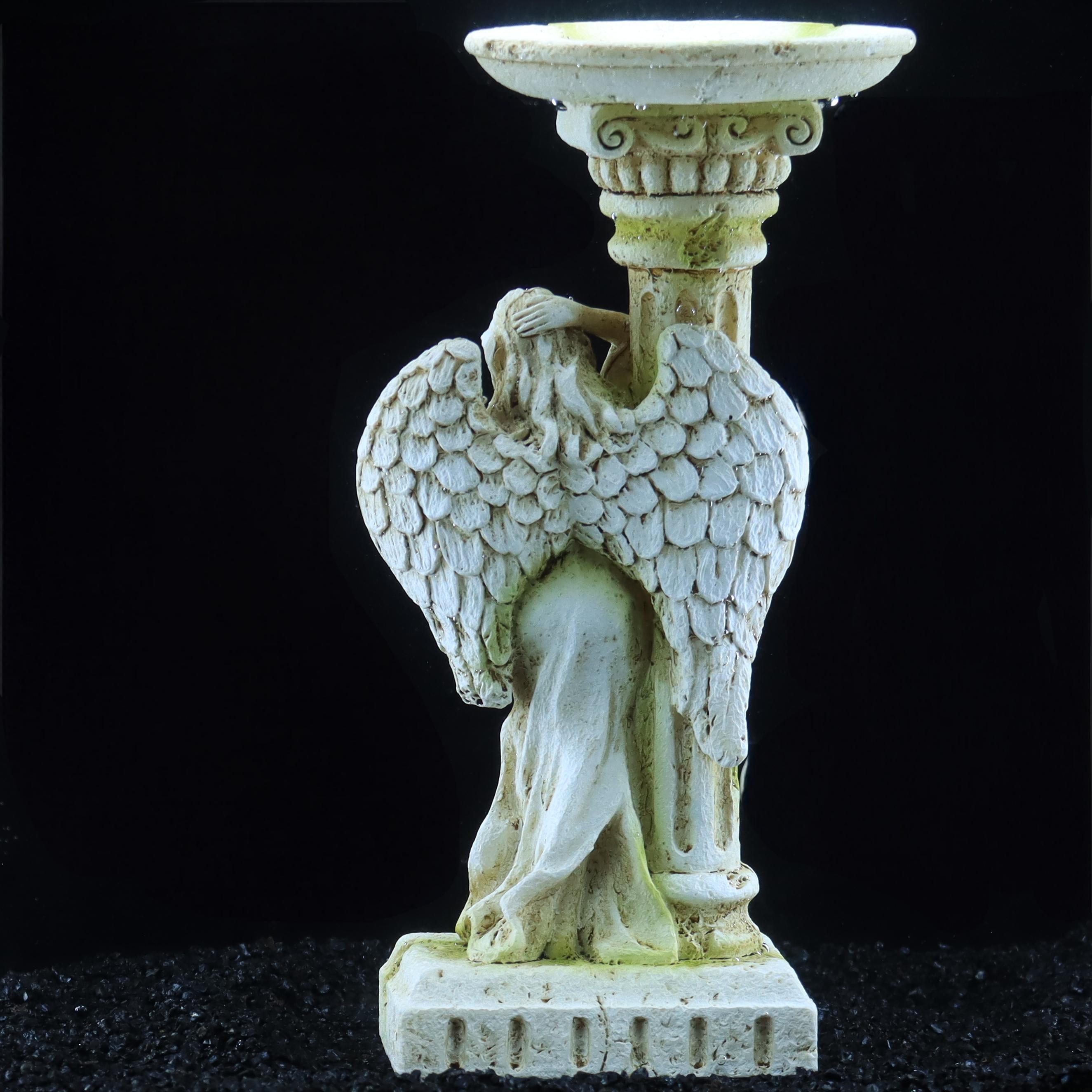 Romen meleği, vintage romantik - Aquarium Fish Angel incelemesi ve fiyatı