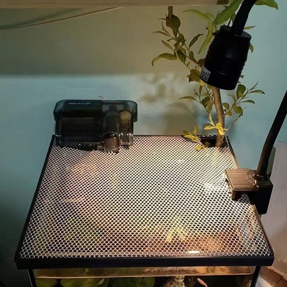 Sağlam Manyetik Balık Tankı Ka - Aquarium Fish Net incelemesi ve fiyatı