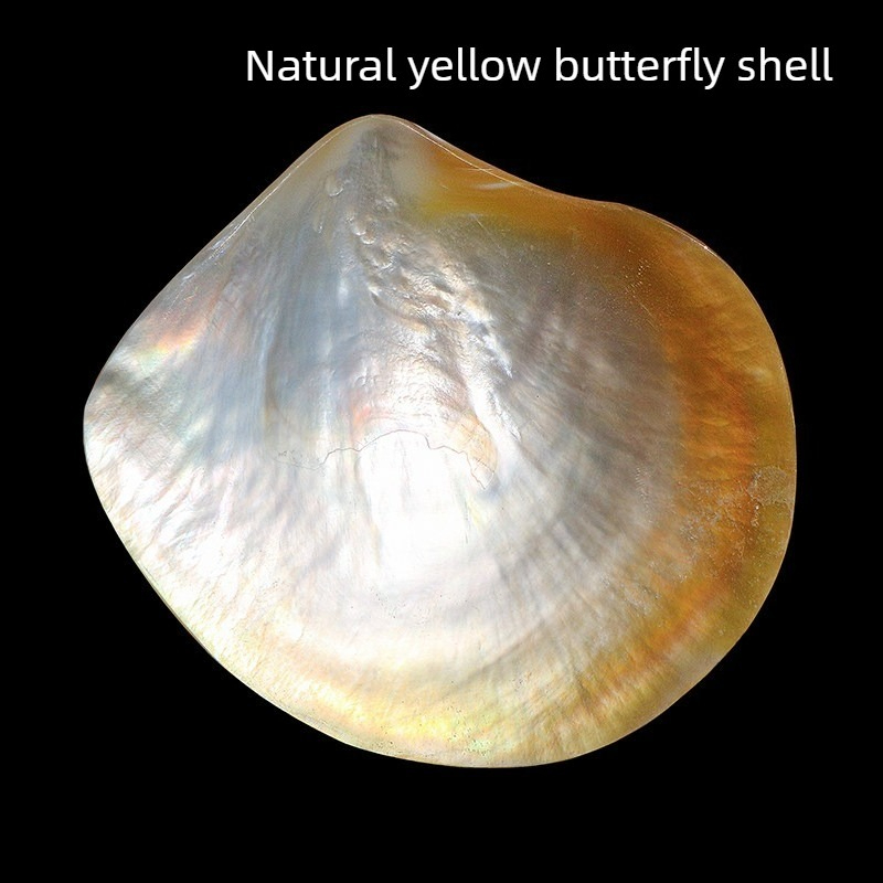 Doğal Sarı Kelebek Beibei Kabu - Aquarium Fish Yellow incelemesi ve fiyatı
