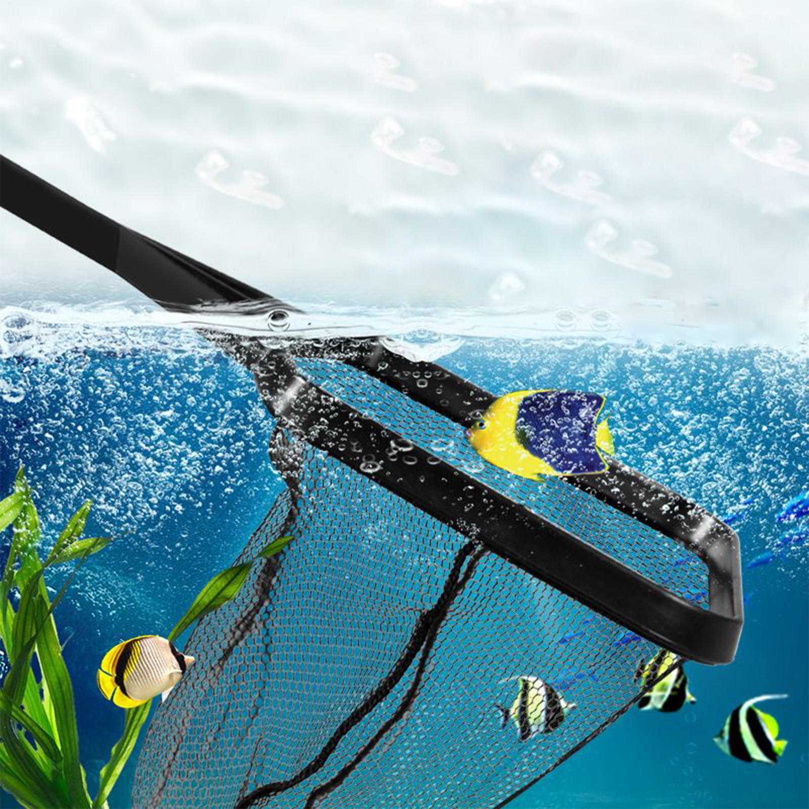 Havuz Net Balık Tankı Kurtarma - Aquarium Fish Net incelemesi ve fiyatı