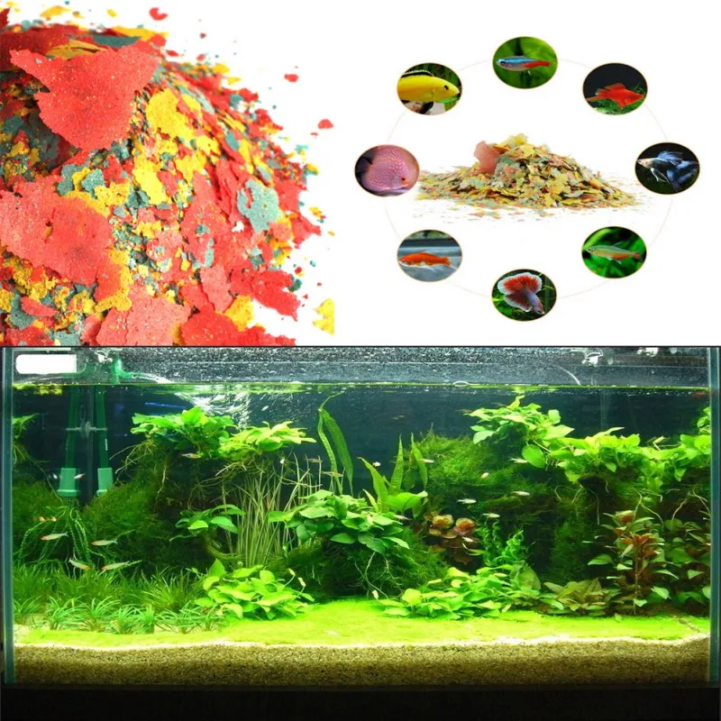 YENİ Sağlıklı Balık Yemi Gevre - Fish Food Flake incelemesi ve fiyatı