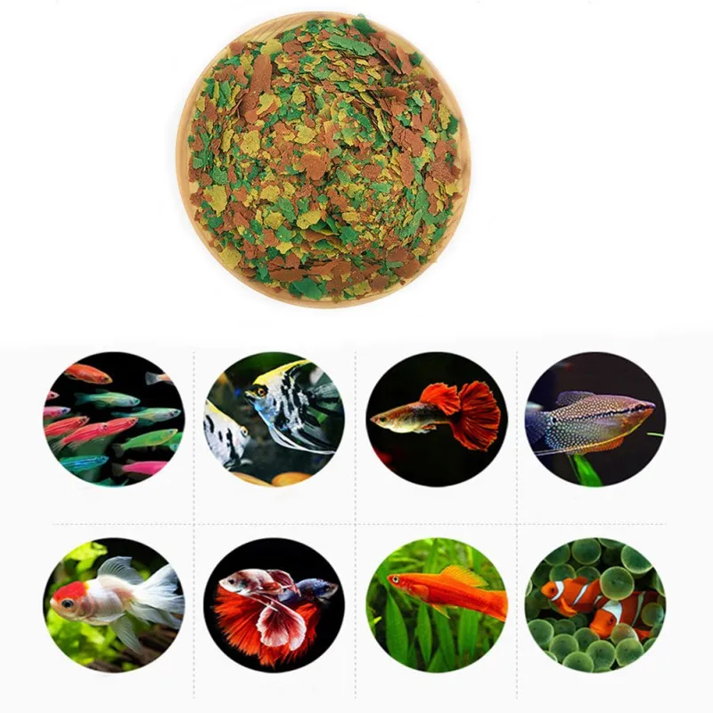 YENİ Sağlıklı Balık Yemi Gevre - Fish Food Flake incelemesi ve fiyatı