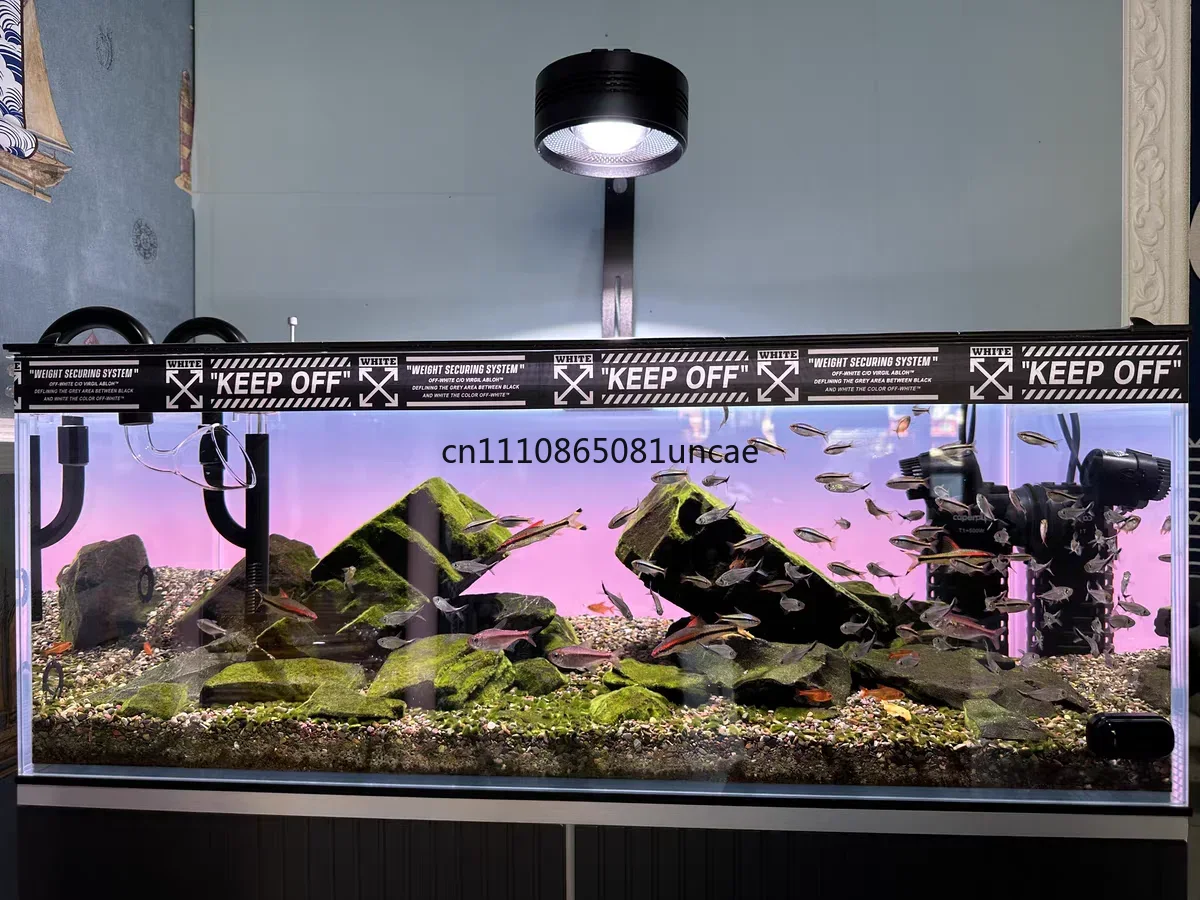 Akrilik Balık Tankı Arka Planı - Aquarium Fish Colour incelemesi ve fiyatı