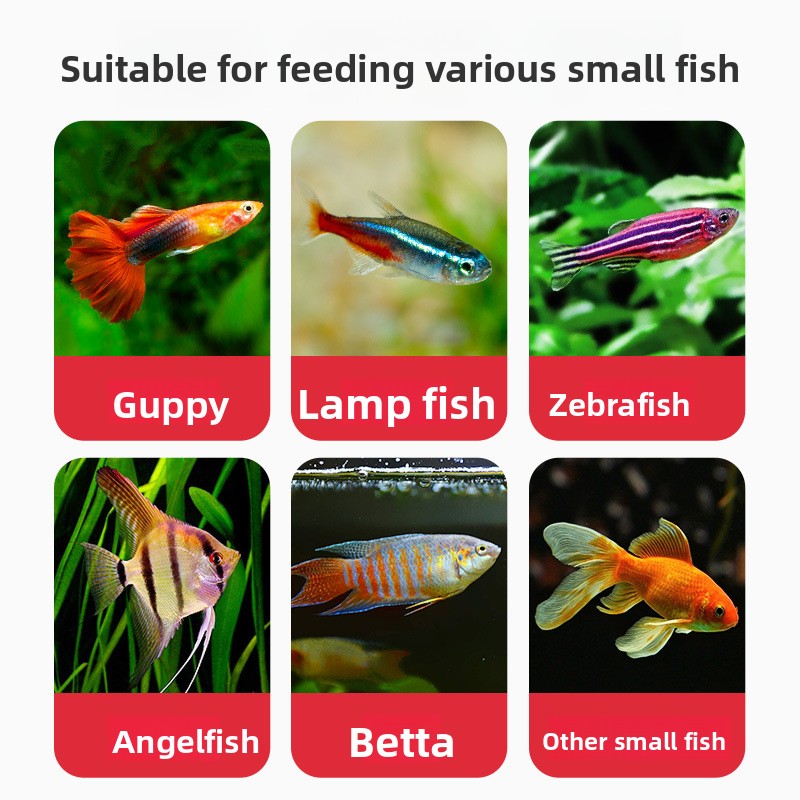 DEERA Tropikal Balık Yemi, Gup - Fish Food Flake incelemesi ve fiyatı