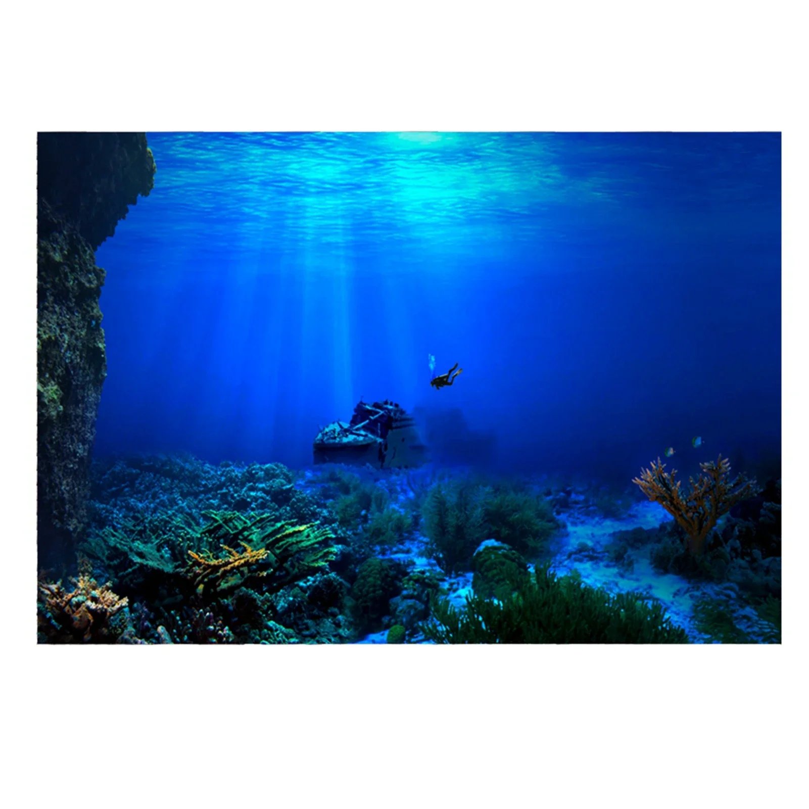 Rainforest akvaryum arka plan  - Fish In Aquarium Picture incelemesi ve fiyatı