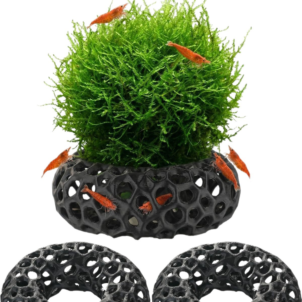 Çok satan 3D baskılı akvaryum  - Aquarium Fish Reproduction incelemesi ve fiyatı