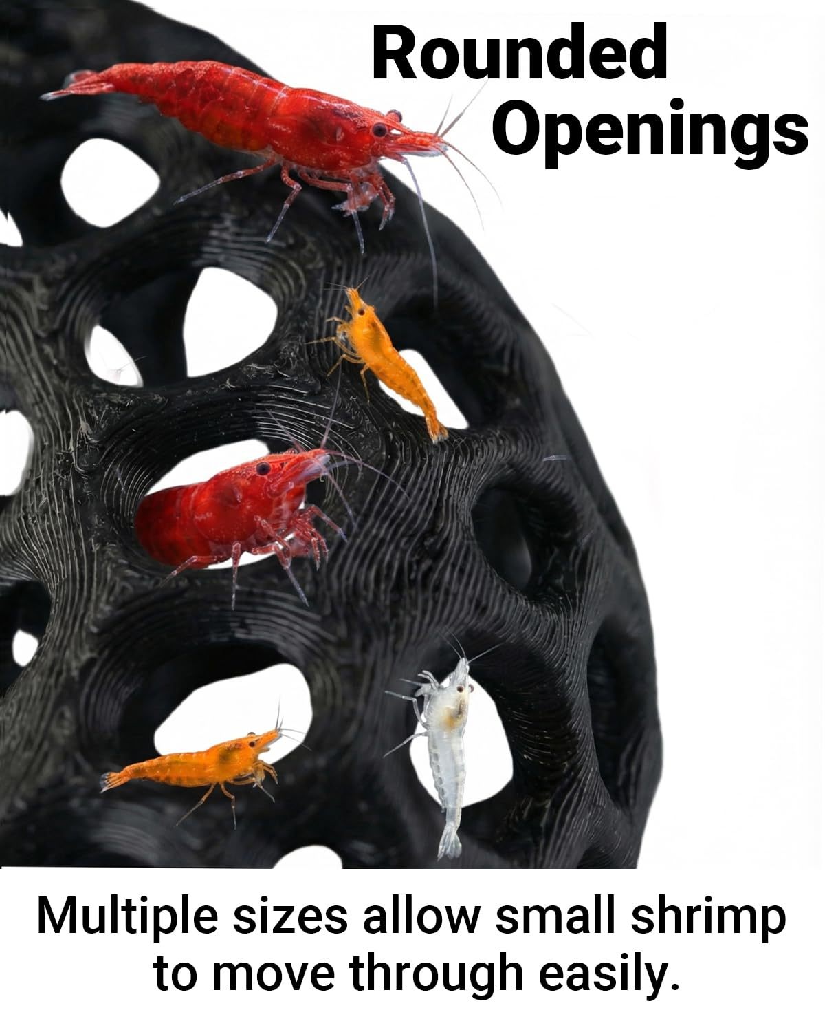 Çok satan 3D baskılı akvaryum  - Aquarium Fish Reproduction incelemesi ve fiyatı