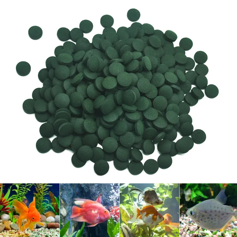 100/500/1000 adet Spirulina ge - Fish Food Flake incelemesi ve fiyatı
