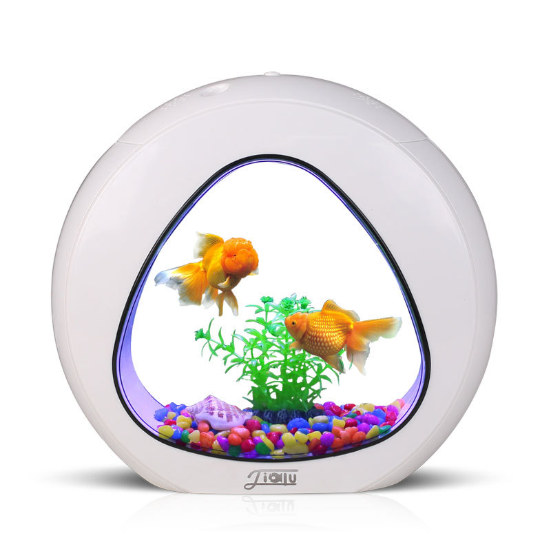 Jialu yaratıcı masaüstü balık  - Aquarium Fish Delivery incelemesi ve fiyatı