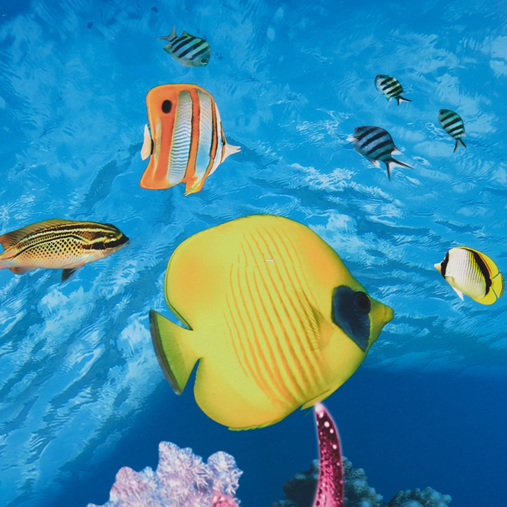 BAAU Akvaryum Arka Plan Kağıdı - Fish In Aquarium Picture incelemesi ve fiyatı