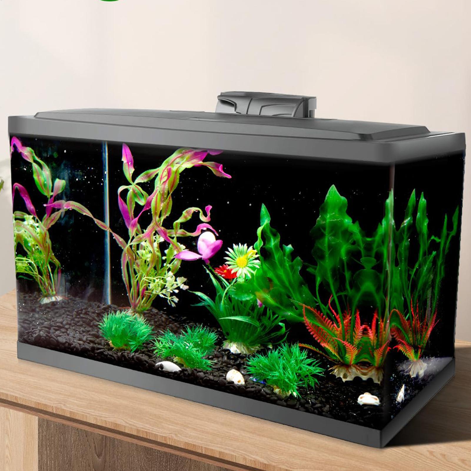 Siyah Akvaryum Arka Plan Resmi - Fish In Aquarium Picture incelemesi ve fiyatı
