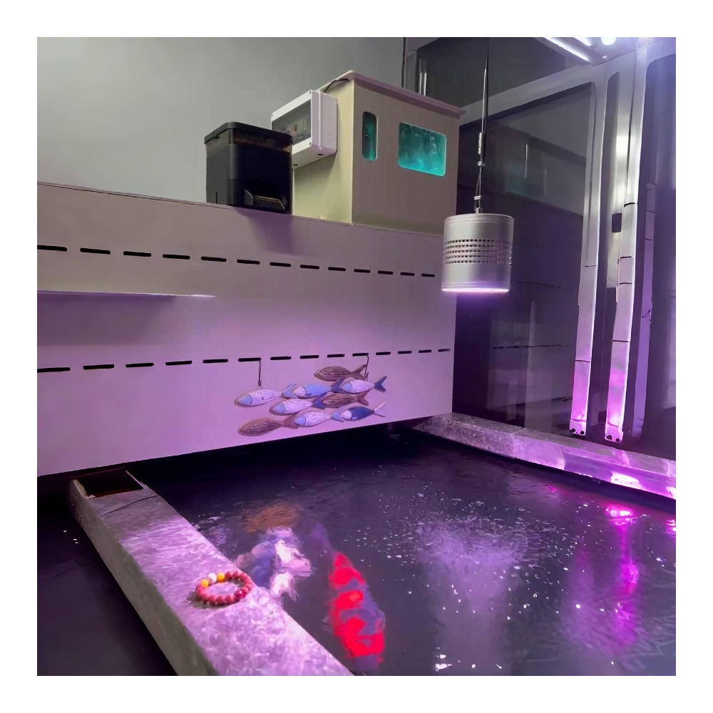 5000L/S Harici Akvaryum Döner  - Aquarium Fish Electric incelemesi ve fiyatı