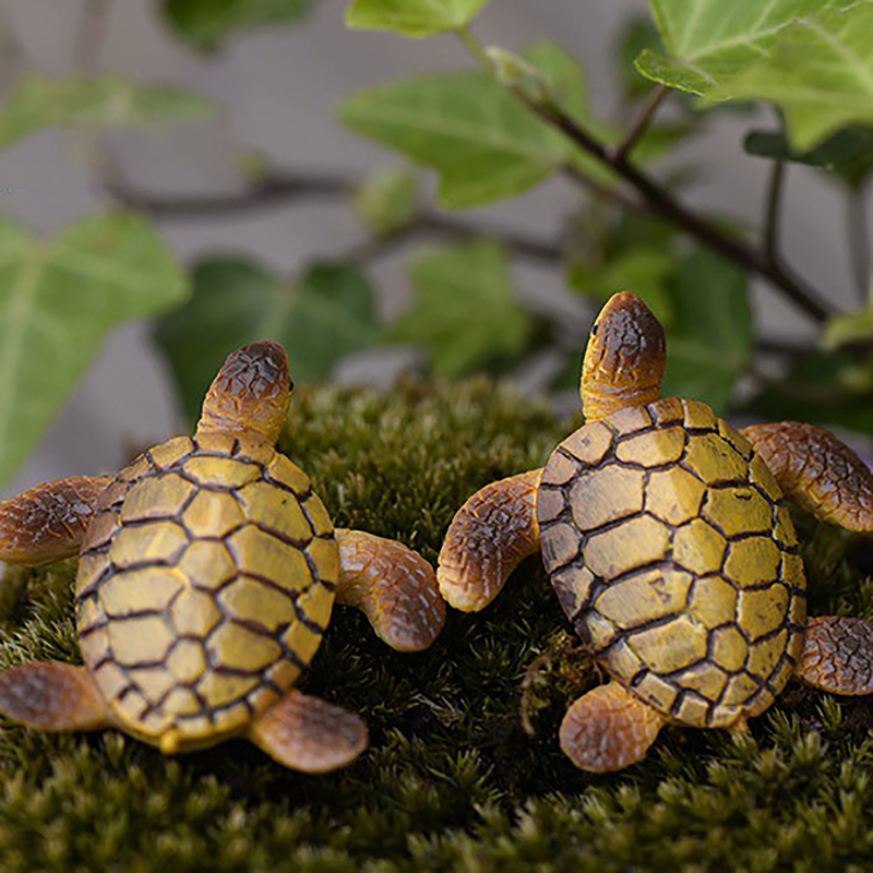 1 adet Mini deniz kaplumbağası - Aquarium Fish Names incelemesi ve fiyatı