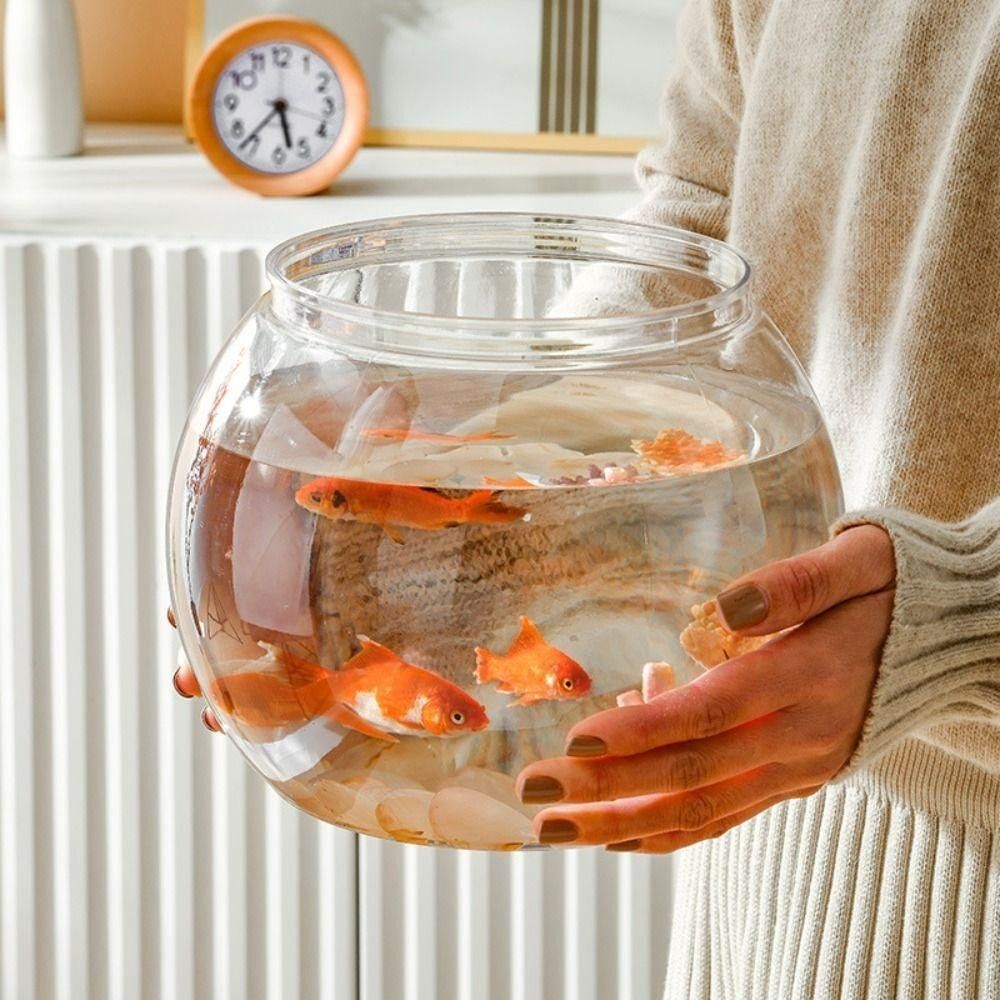 Yeni Şeffaf Balık Tankı Yuvarl - Aquarium Fish Names incelemesi ve fiyatı